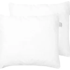 Conjunto de 2 almofadas de alto perfil em microfibra 80 x 80 cm ERRIGAL