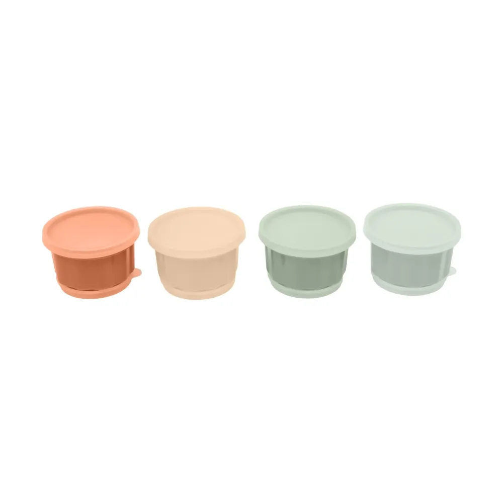 Conjunto 4 Formas para Gelatina