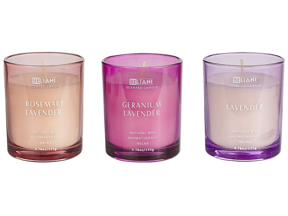 Set 3 Scented Candles SHEER JOY Soy Wax Floral Notes para Armários e Gavetas